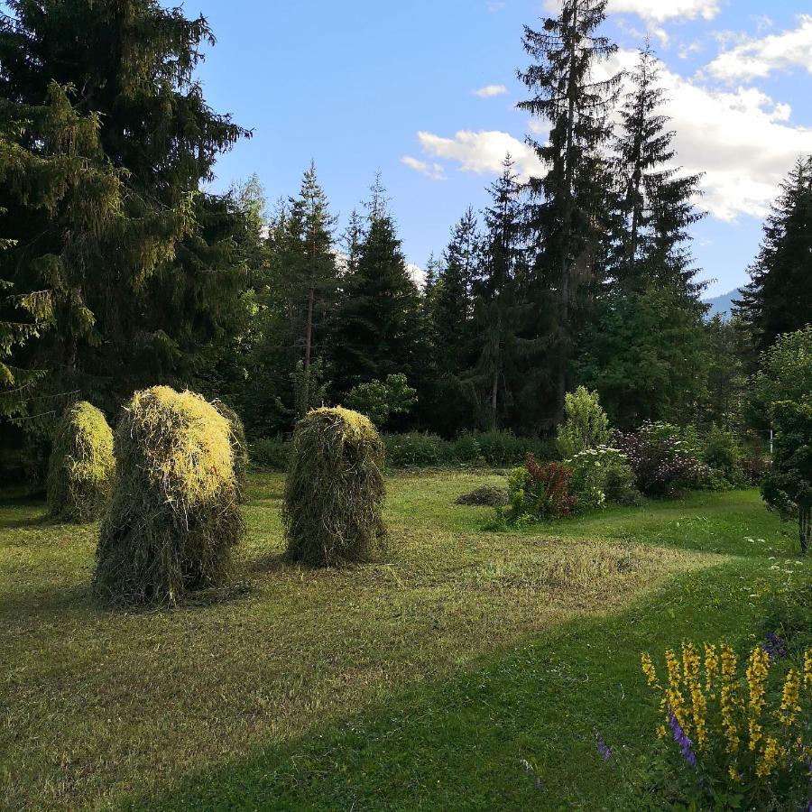 Das Habitat Лойташ Экстерьер фото